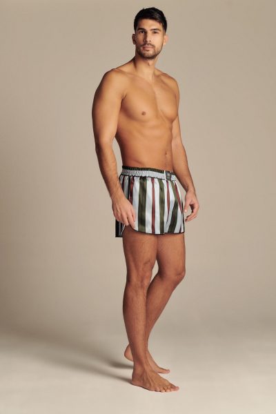Italian Stripes Silk Mens Shorts